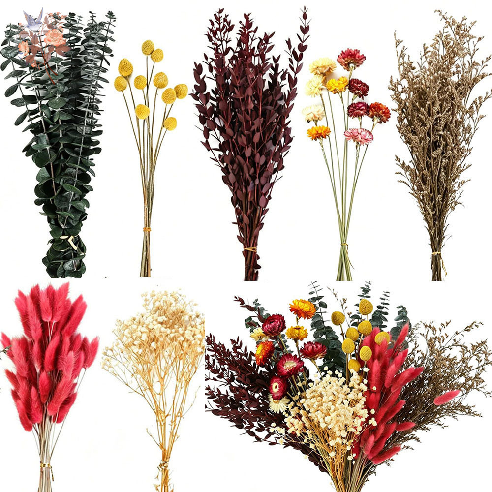 Florist Flower Supply - Kurutulmuş Çiçeklerden Oluşan 7 Çeşitlik Toplu