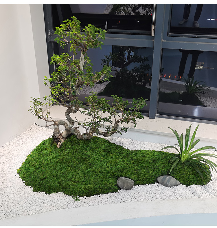 Preserved Moss Sheet - Yapay yosun filamentleri yosun çim insanlar