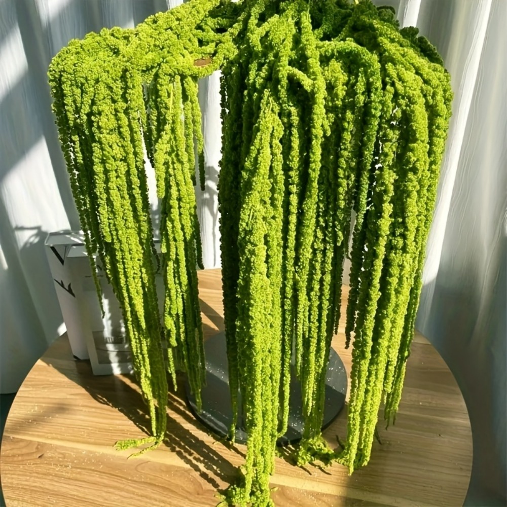 4 Parçalı Yapay Amaranthus Çiç - Preserved Moss Sheet incelemesi ve fiyatı