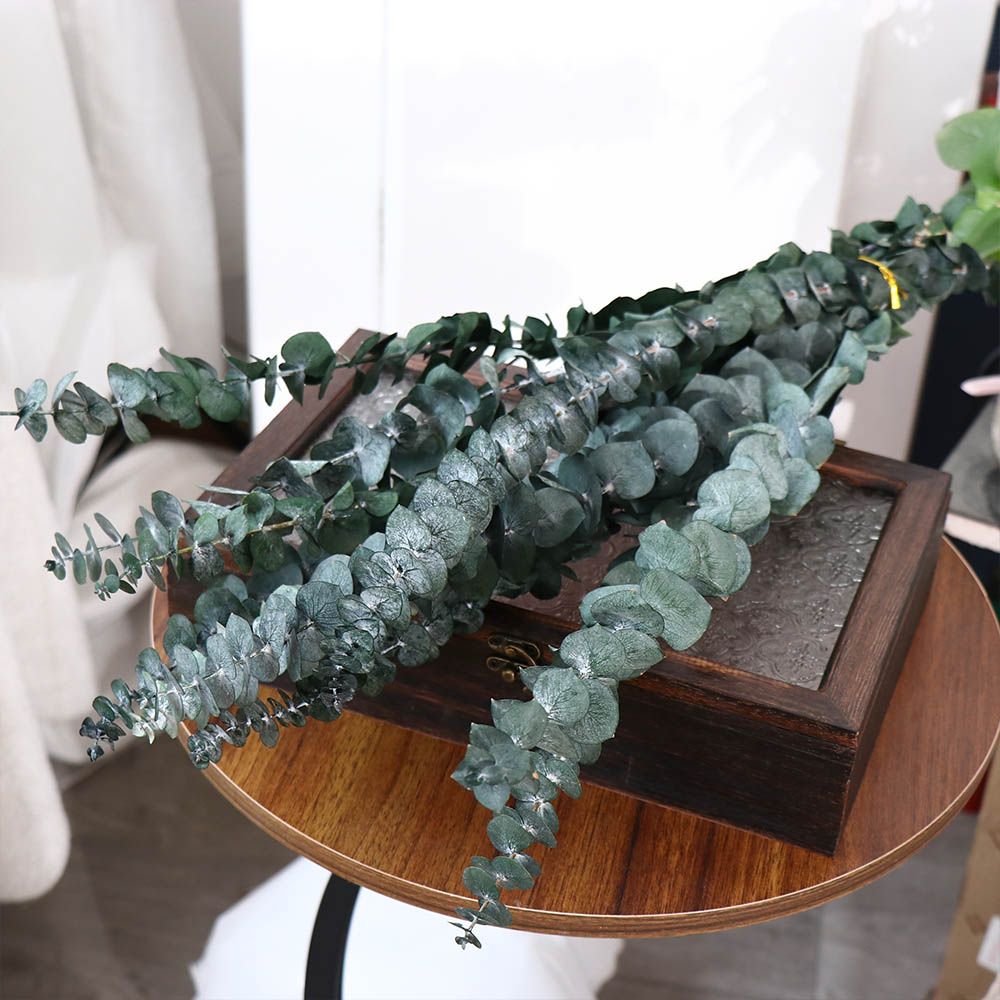 10 Adet Gerçek Yapraklı Asılı  - Eucalyptus Preserved incelemesi ve fiyatı
