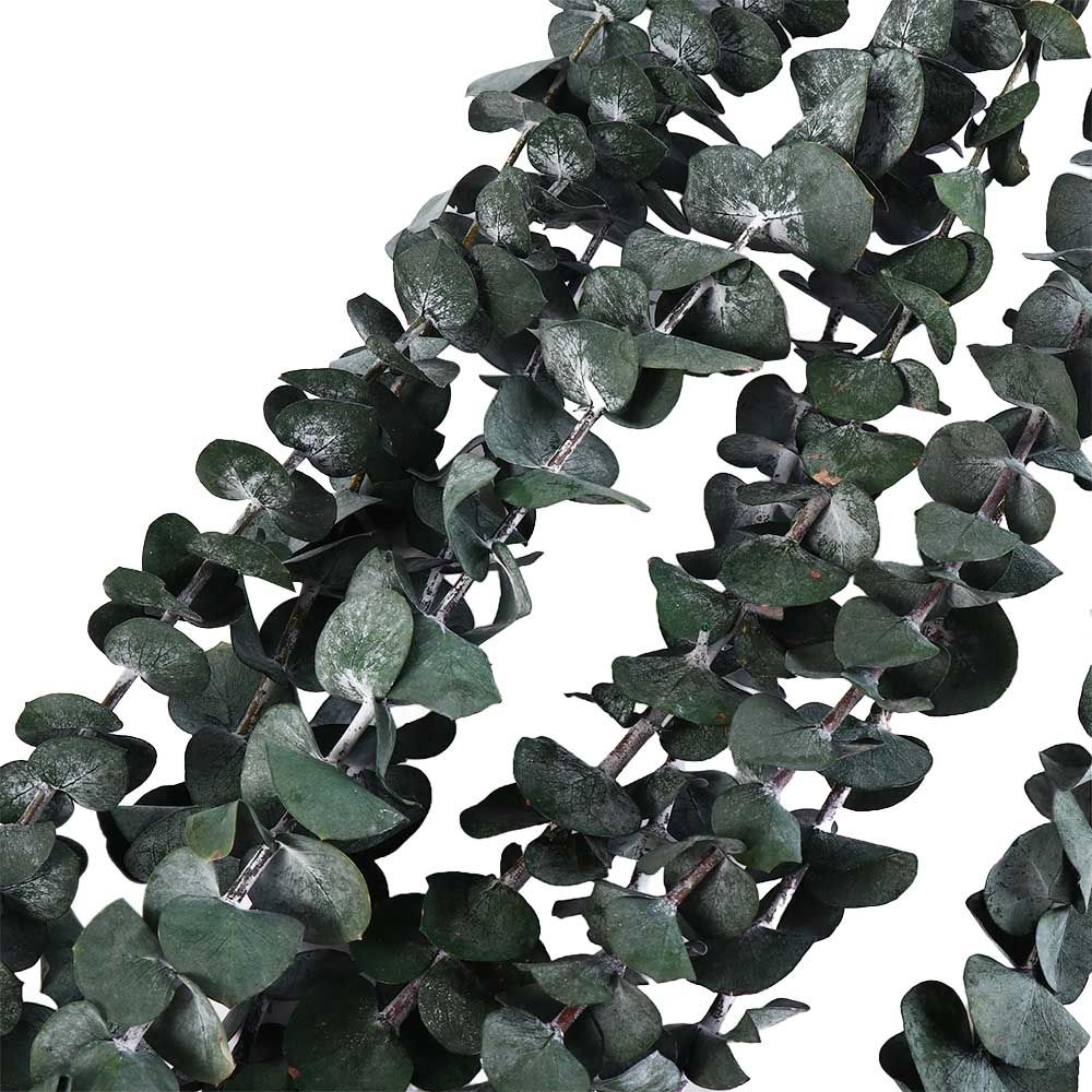10 Adet Gerçek Yapraklı Asılı  - Eucalyptus Preserved incelemesi ve fiyatı