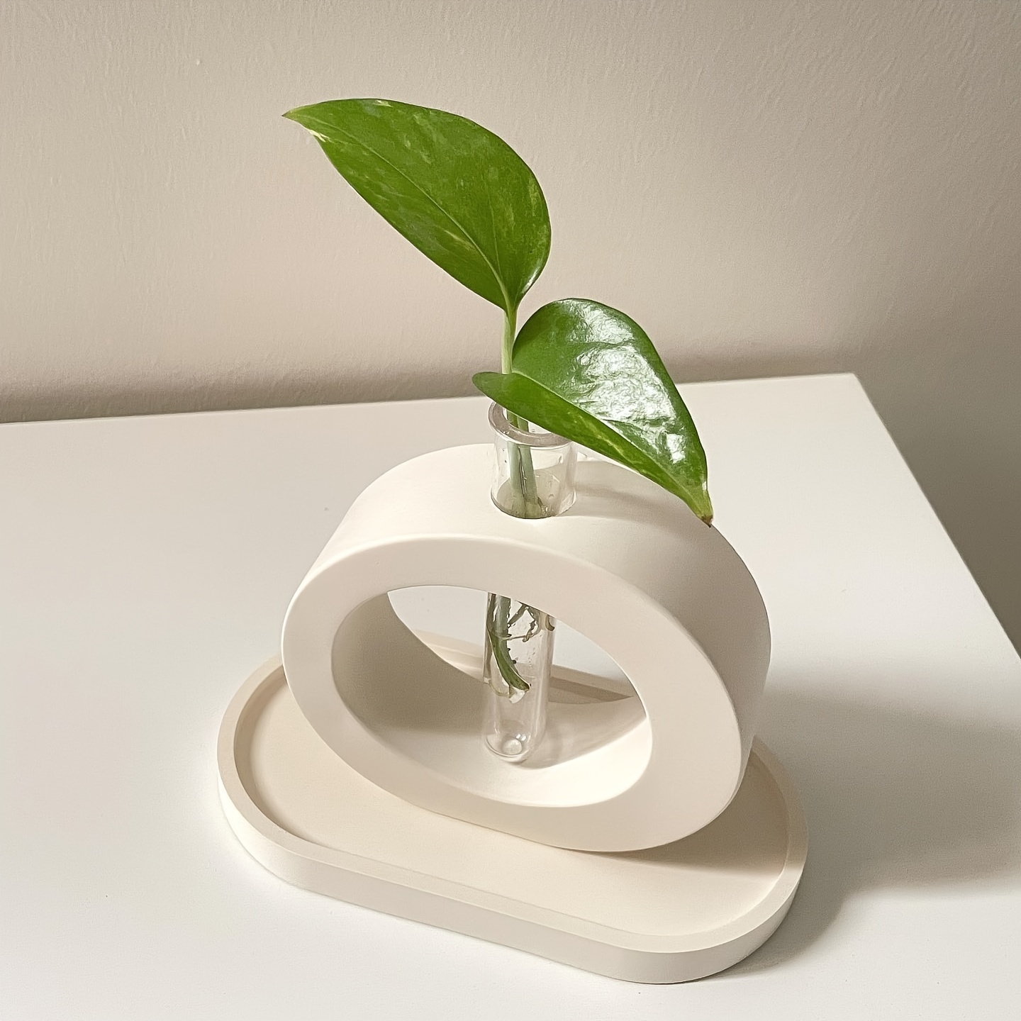 4 adet çiçek vazo silikon kalı - Florist Supply Vases incelemesi ve fiyatı
