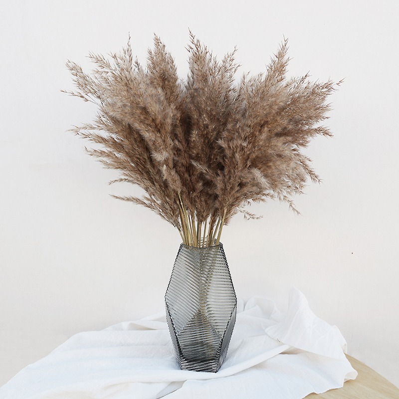 10 Adet Renkli Doğal Sazlık Pa - Florist Supply Vases incelemesi ve fiyatı