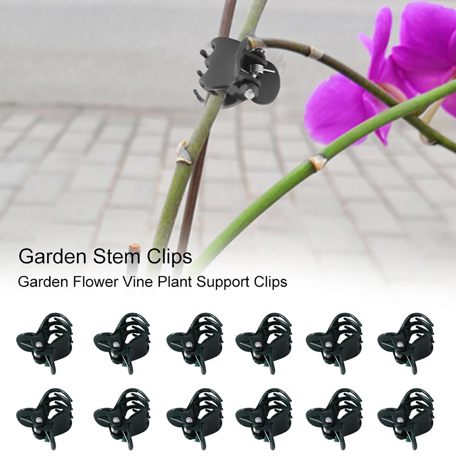 100 adet Mini Bitki Klipleri B - Florist Supply Bulk incelemesi ve fiyatı