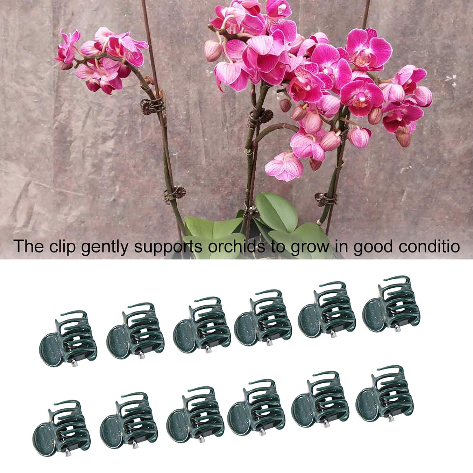 100 adet Mini Bitki Klipleri B - Florist Supply Bulk incelemesi ve fiyatı
