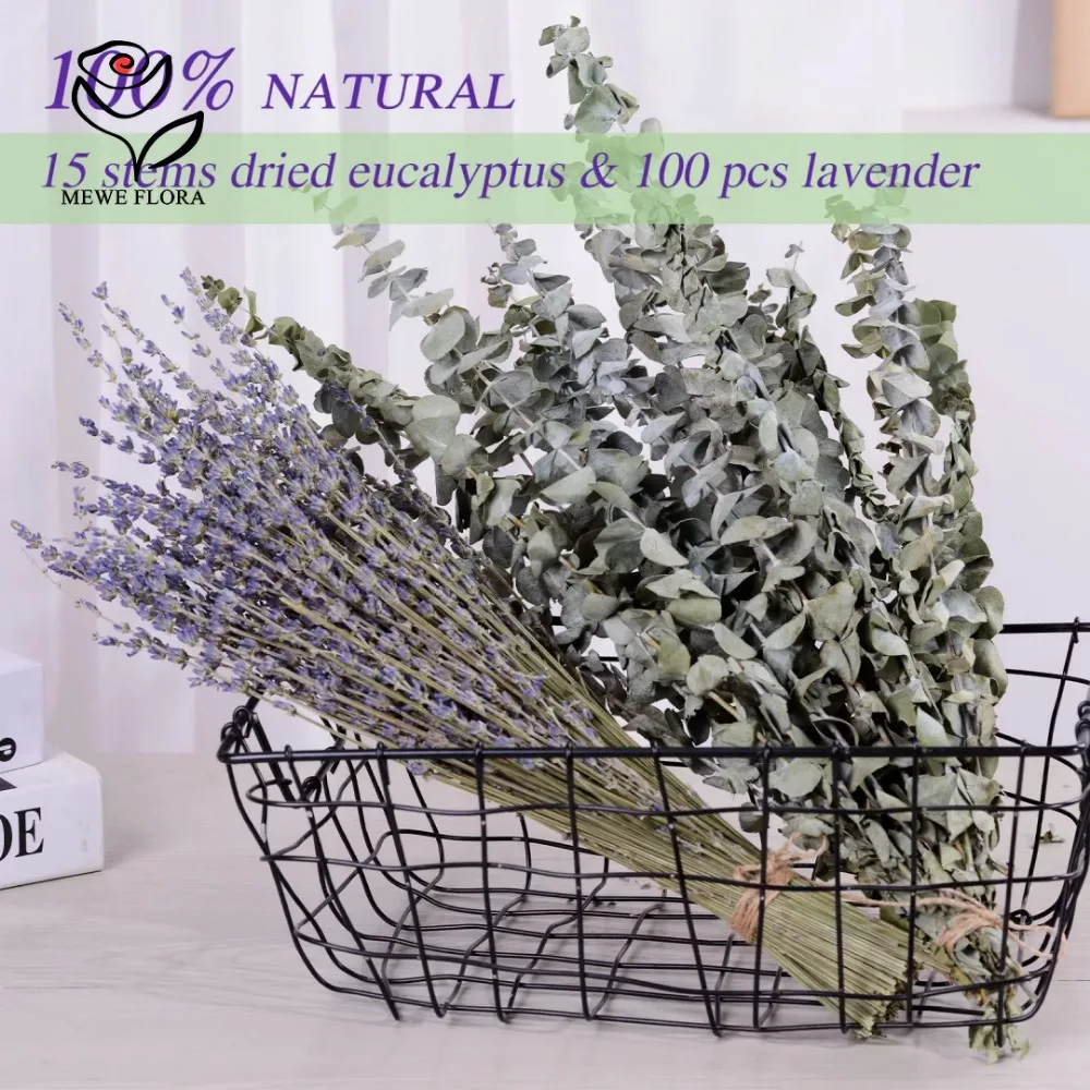30 Adet Kurutulmuş Çiçekler Ko - Eucalyptus Preserved incelemesi ve fiyatı