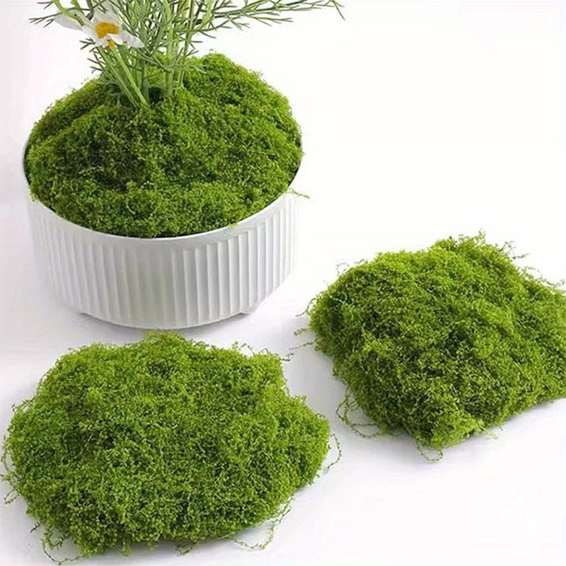 Yeşil Sahte Yosun DIY El Sanat - Preserved Moss Sheet incelemesi ve fiyatı