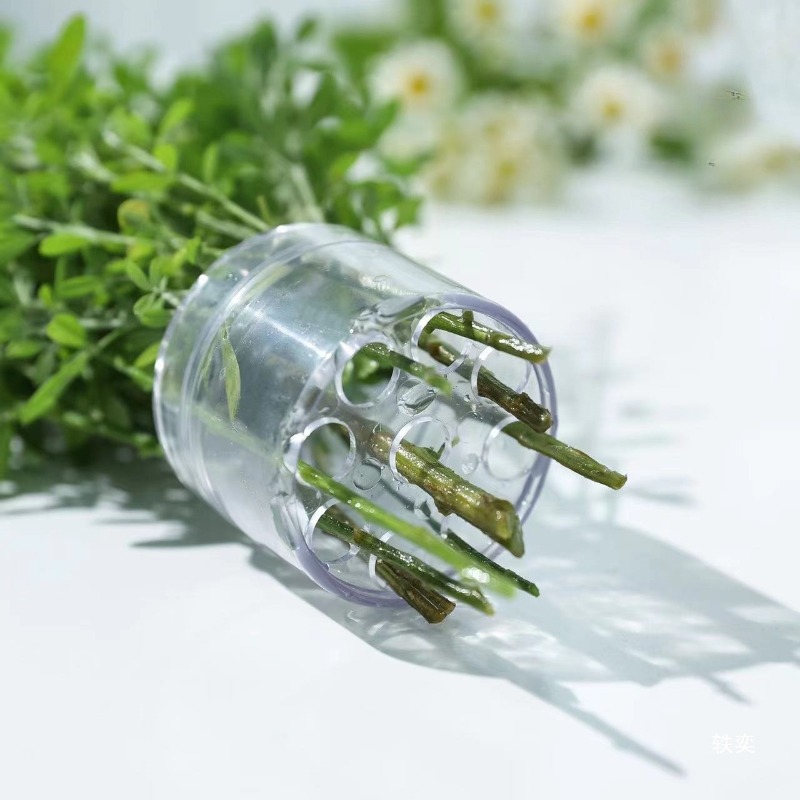 Spiral Kök Tutucu Sağlam Şeffa - Florist Supply Bulk incelemesi ve fiyatı